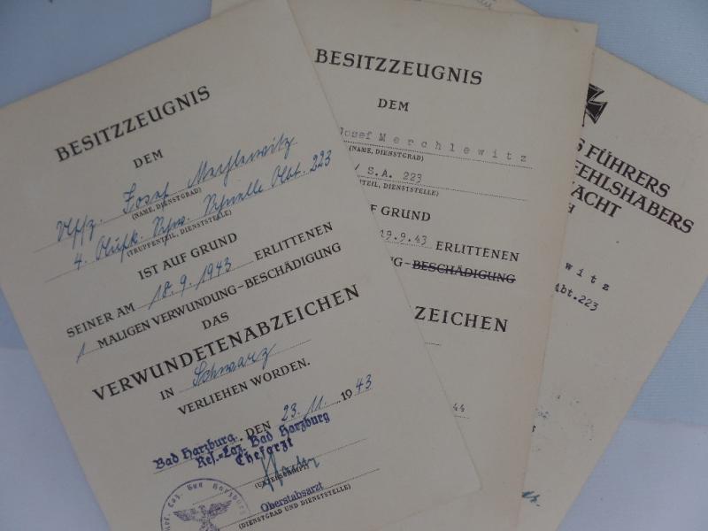 Citation grouping WH (Heer) - 223.Inf.Div. - Merschlewitz