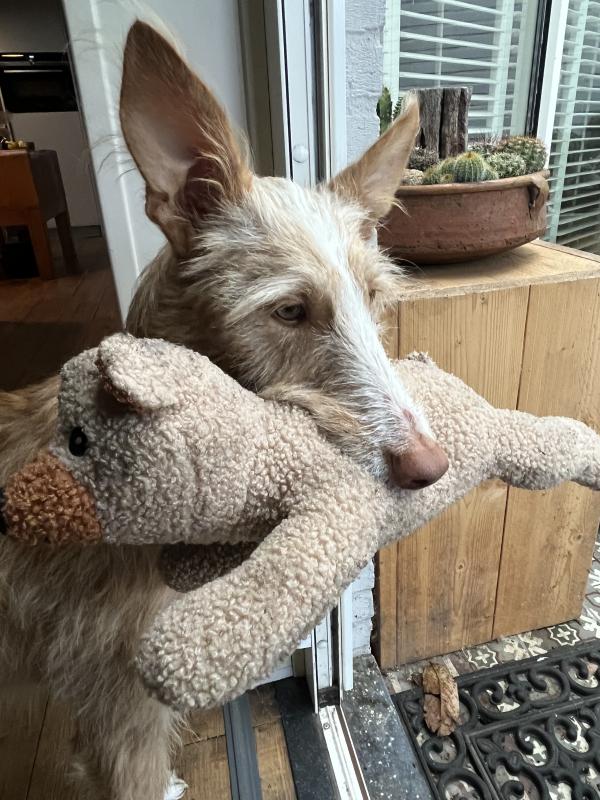 Very best wishes and health for 2026!!!!!